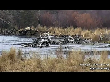 28_Oct_2020-_435_Leaps_from_the_Bank