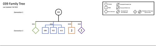 Family-tree-rq-039