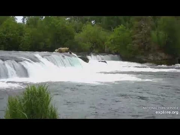 Another_view_of_Holly_and_LO_at_the_falls_BFL_June_26_2021_explore.org