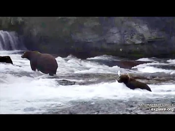 24_Aug_2020-_89_Pops_In