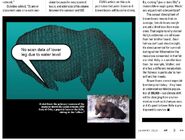 SCANNING THE ROUNDEST BEAR CLAIRE NAPIER ARTICLE 32 151 480 747 854 04