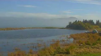 River_Watch_Bear_Cam_09-13-2018_14_02_03_-_15_02_03_Explore_Recorder_video