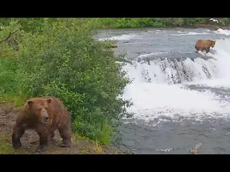 17_Jul_2024-_32_and_747_court_402_at_crowded_falls_(explore.org)