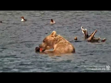 435_Holly_Living_Her_Best_Life_-_July_9,_2022_(explore.org)