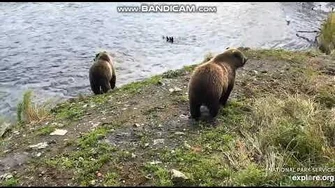 402_3_Yearlings_at_the_falls..._402_dives_in_the_Jacuzzi._2019_10_16_14_23_43_114_by_Casper_Pike-0