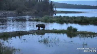 83_Wayne_Brother_on_the_lower_river_7_17_2020,_video_by_Lani_H