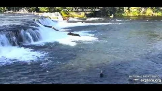 503_returns_to_BF_6_26_2019_by_Ratna-0