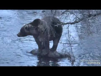 89_Backpack_visits_his_rock_10-12-2020