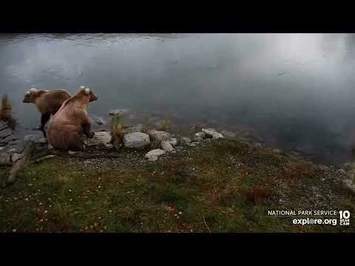 128s_09-21-explore.org