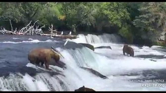 747_charges_128_Grazer_8_1_2018_by_Lani_H-0