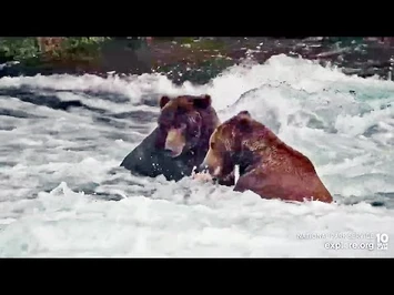 25_Sep_2022-_912_Hopes_for_99's_Scraps_(explore.org)