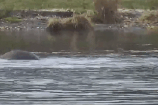 27 September 30, 2021 gif by LunaCre