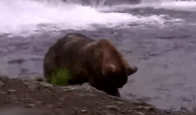 SARA 477 GIF 2022.07.11 477 MAYBE WHITE CLAWS RADIOQUIET p 12.18 f 45 MINS AGO