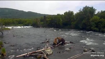 1_Jul_2020_89_Backpack_and_482_Brett_Mate_by_mckate-0