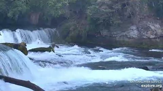 128_Grazer_tells_subadult_your_getting_too_close_6_30_2019,_video_by_Lani_H