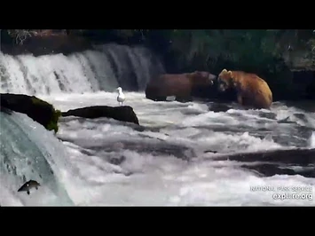 23_Jul_2020-_912_Drops_in_on_907