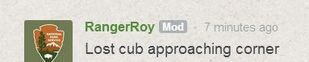 Ranger Roy's 19:58 comment "Lost cub approaching corner"