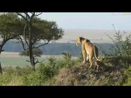 2019.02.20 04.31 SUNNY re JUERGEN MEMORIAL DAY MASAI MARA PIC 05