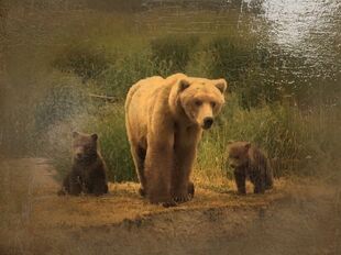 171 and 2 spring cubs 2019 art snapshot by GreenRiver