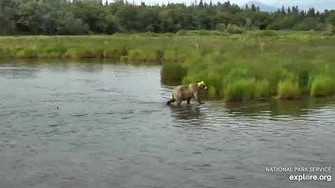 435_Holly_snorkeling_on_the_lower_river_7_1_2019,_video_by_Lani_H