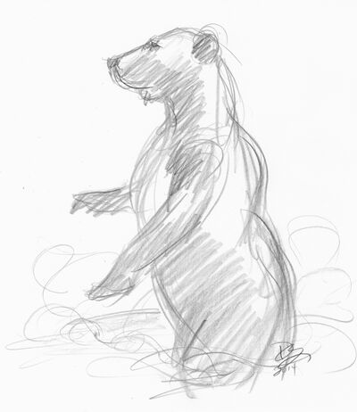 Bear-2min-sketch