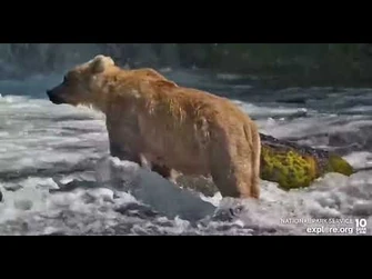 Daytime_look_at_recently_returned_435_-_Explore.org_June_24,_2022