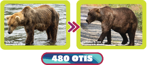 OTIS 480 PHOTO 2023.07.26 NAOMI BOAK vs 2023.09.13 M WHALEN NPS PHOTOS FAT BEAR WEEK