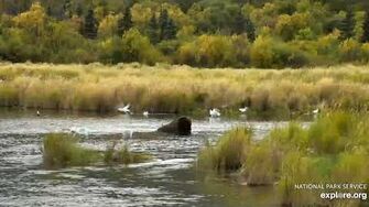 879 snorkeling in the lower river 9 21 2019 by Lani H-0