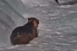 356 July 31, 2022 gif by LunaCre