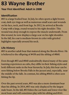 Information section of 83 Wayne Brother's page in 2015 Bears of Brooks River book (pg 53)