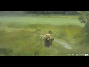 811_and_coys_on_LR_Explore.org_7-23-22