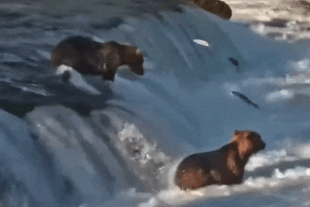 356 July 28, 2022 gif by LunaCre