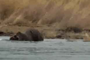27 October 8, 2021 gif by LunaCre .02