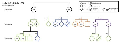 Family-tree-rq-408-409
