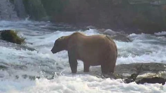 07.13.2017_-_83_Wayne_Brother_at_the_Falls,_video_by_Brenda_D