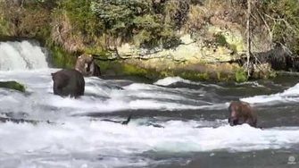 09.07.2016_-_747,_856,_480_Otis_-_No_Other_Explanation_Needed,_video_by_Brenda_D_d
