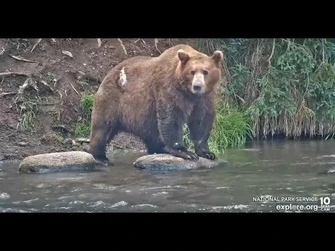 151_-_Explore.org_July_9,_2022-2