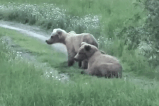 207 and 208 June 30, 2021 gif by LunaCre .01