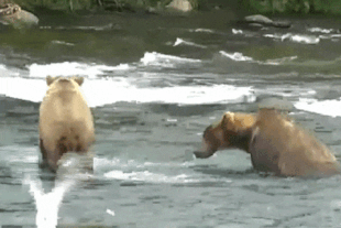 901 (left) and 99 (right) July 15, 2022 gif by LunaCre
