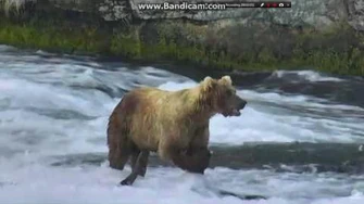 07.02.2016_-_89_Backpack_eating_his_catch_by_Brenda_D