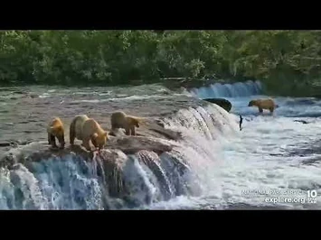 2022_07_09...128-2..Courtesy_of_Explore.org-2