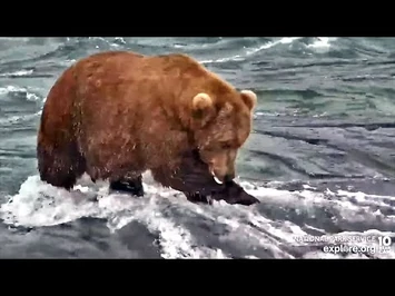 26_Sep_2022-_903_Finds_Fish_Good_to_the_Last_Drop_(explore.org)