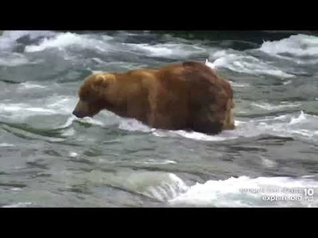 89_in_the_Riffles_-_July_22,_2022_(explore.org)-2