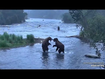 6_Jul_2020-_503_Plays_with_89_Backpack