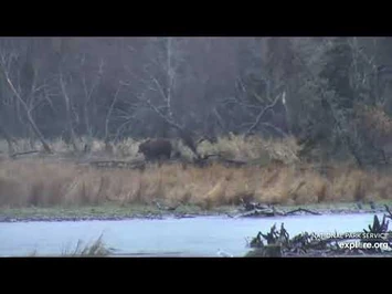 811_and_Coy_and_the_719's_10-26-2020