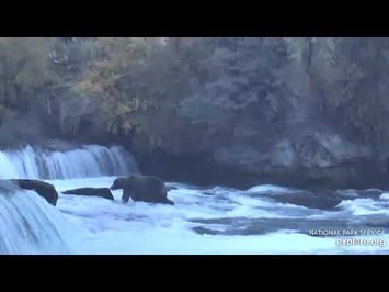 89_Backpack_visits_the_falls_9-25-2020