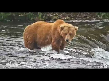 505_closer_look_-_Explore.org_July_4,_2022-2