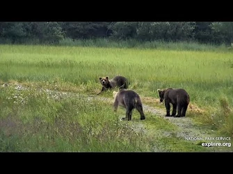 23_Jul_2020-_831_Play_Bows_to_25_and_26