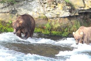 719 (right) and 812 (left) August 8-August 13, 2021 photo by Deanna Dittloff (aka deelynnd)