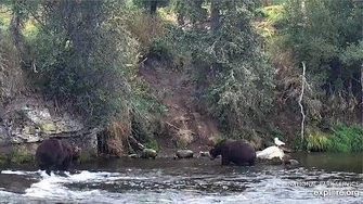 1_Sep_2019_856_Catches_747_Leaving_Work_Early_by_mckate